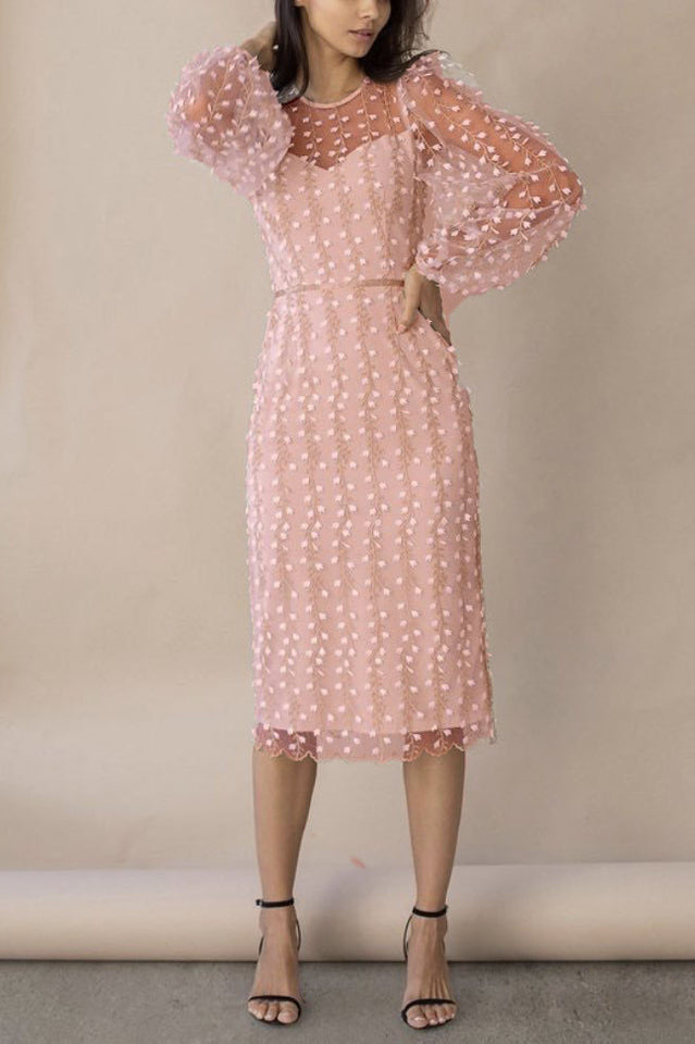 Embroidered Sheer Fitted Dress Pink