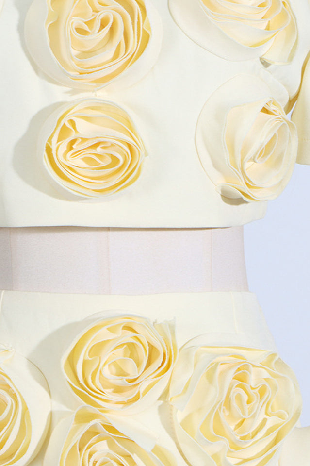 Rose Applique Cropped Top + Skirt Set