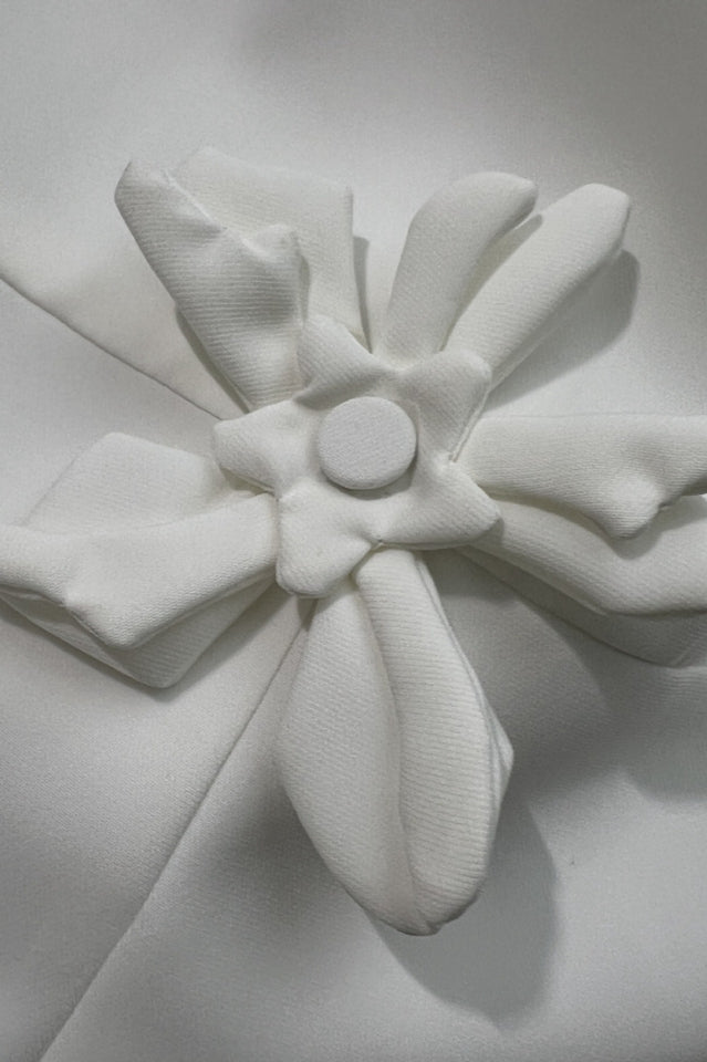 Bertina Floral Applique Mini Dress