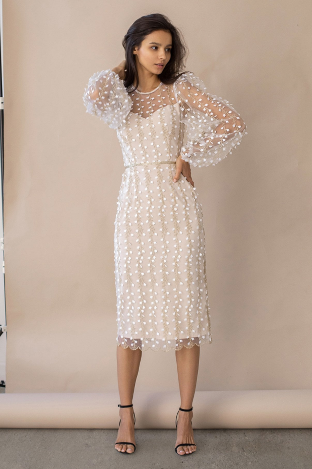 Embroidered Sheer Fitted Dress Beige