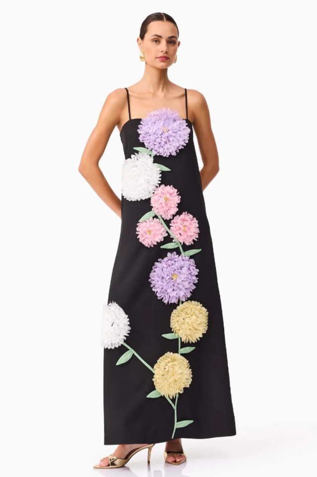 Louisa Floral Applique Maxi Dress