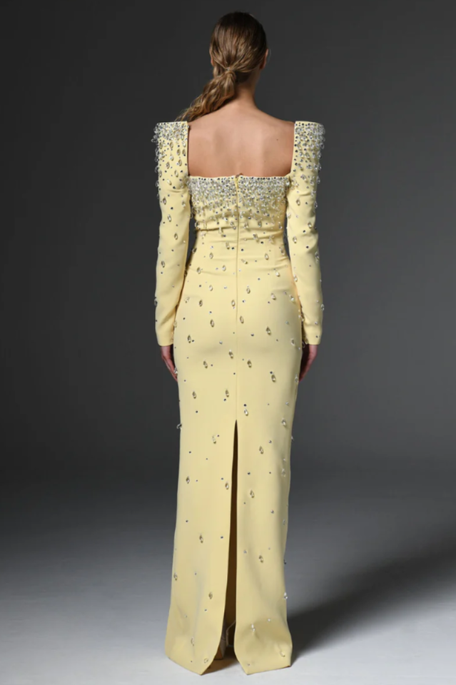 Isabella Crystal Embellished Maxi Dress