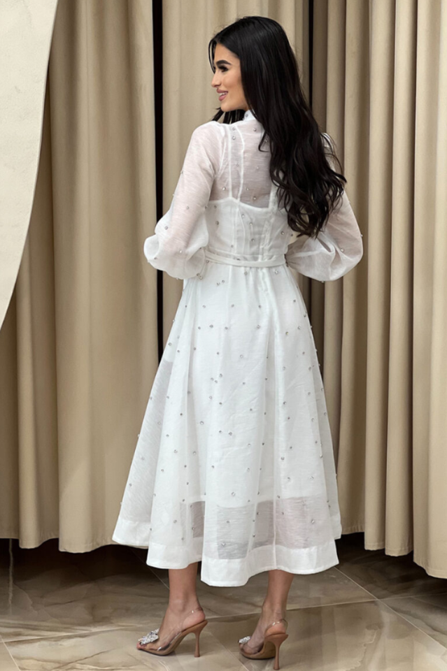 Emelia Crystal Embellished Sheer Maxi Dress