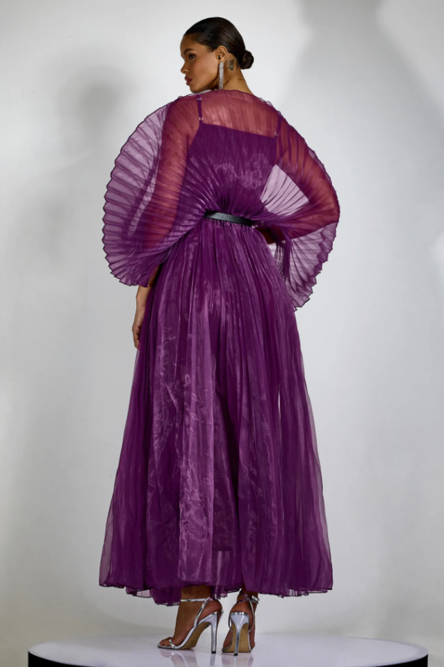 Amanda Semi-sheer Pleated Maxi Dress