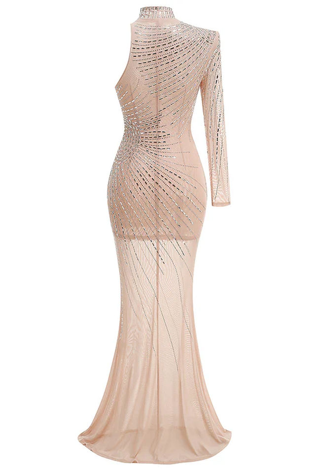 Harini One Sleeve Embellished Maxi Dress