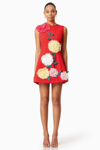 Sibyl Floral Applique Sleeveless Mini Dress