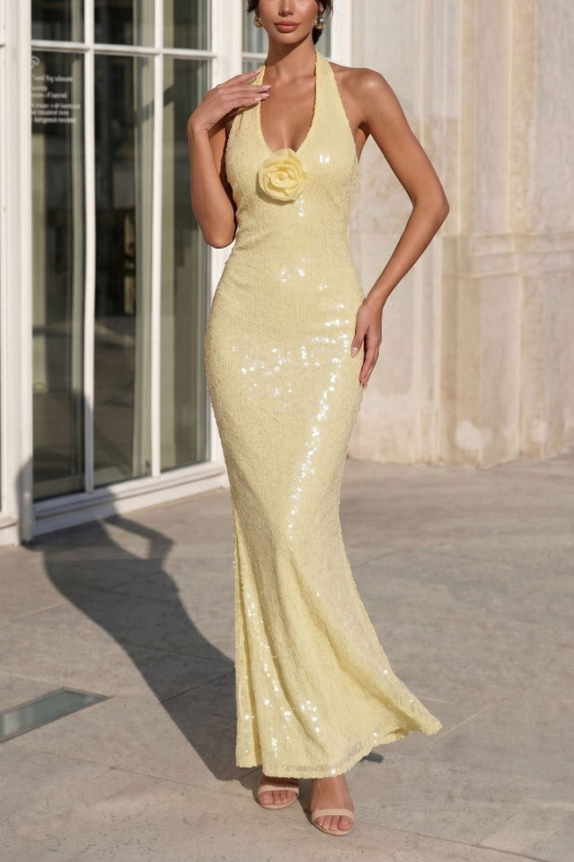 Shimmering Secrets Sequin Halter Maxi Dress