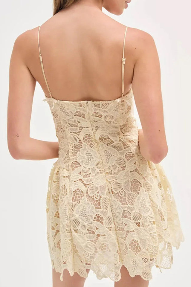 Coco Lace Sleeveless Mini Dress