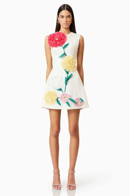 Sibyl Floral Applique Sleeveless Mini Dress