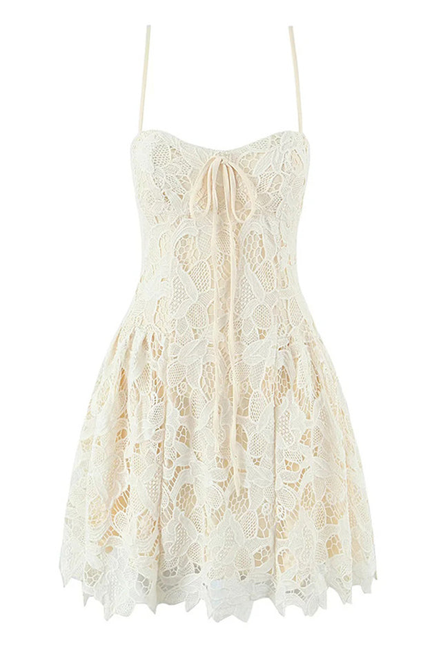 Coco Lace Sleeveless Mini Dress