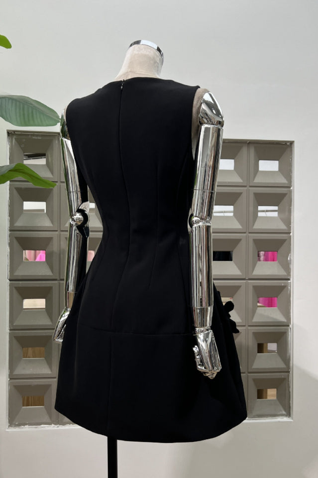 Bertina Floral Applique Mini Dress