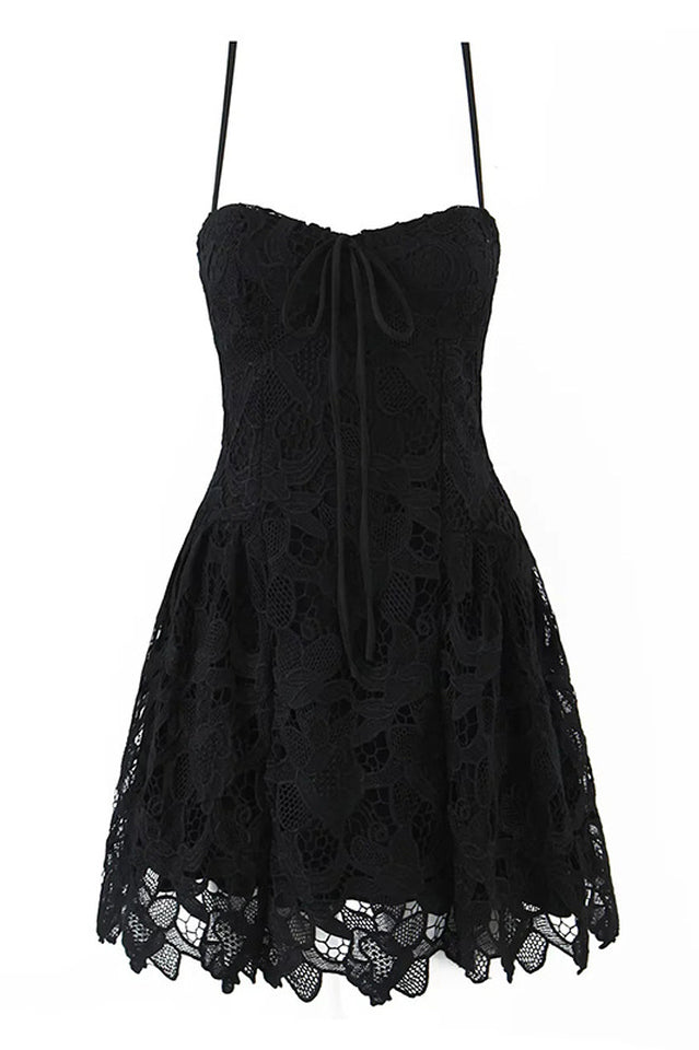 Coco Lace Sleeveless Mini Dress