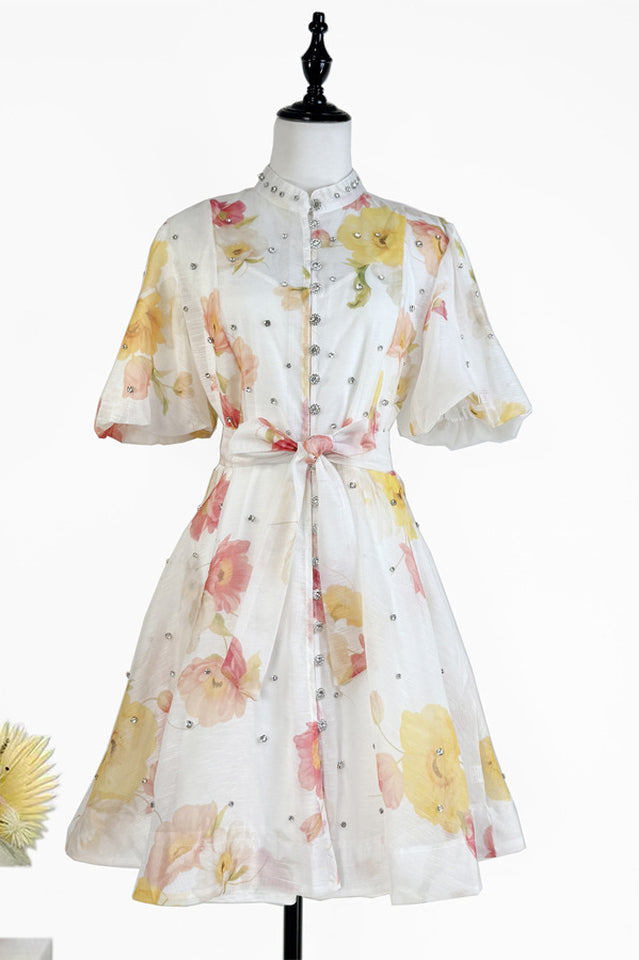 Caroline Floral Print Mini Dress