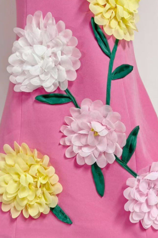 Sibyl Floral Applique Sleeveless Mini Dress