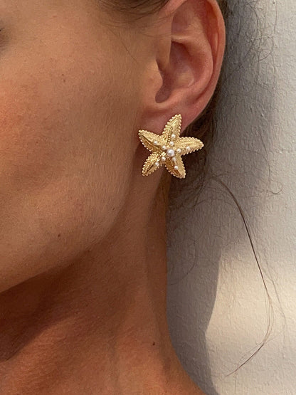 Starfish Shape Earrings Accessories