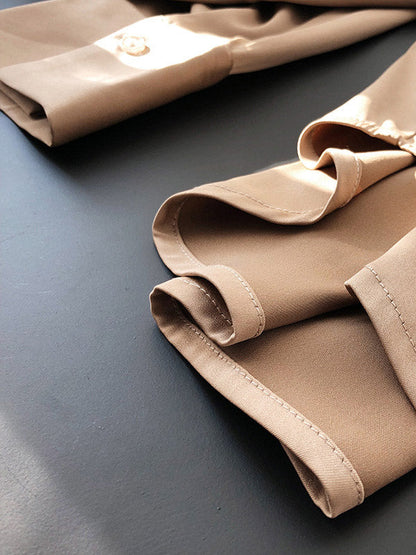 Simple Solid Color Satin Chiffon Long Sleeve Blouse