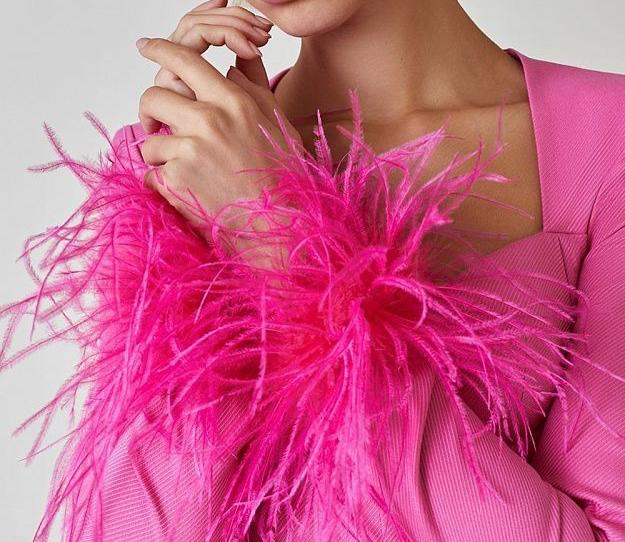 ALIZA Long Sleeve Feathers Bandage Dress