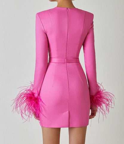 ALIZA Long Sleeve Feathers Bandage Dress
