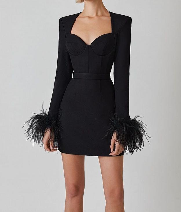 ALIZA Long Sleeve Feathers Bandage Dress BLACK