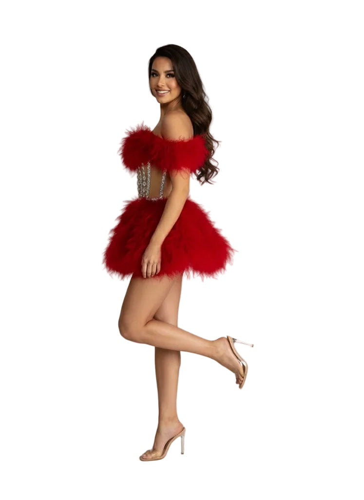 ASNER Feather Couture Mini Dress