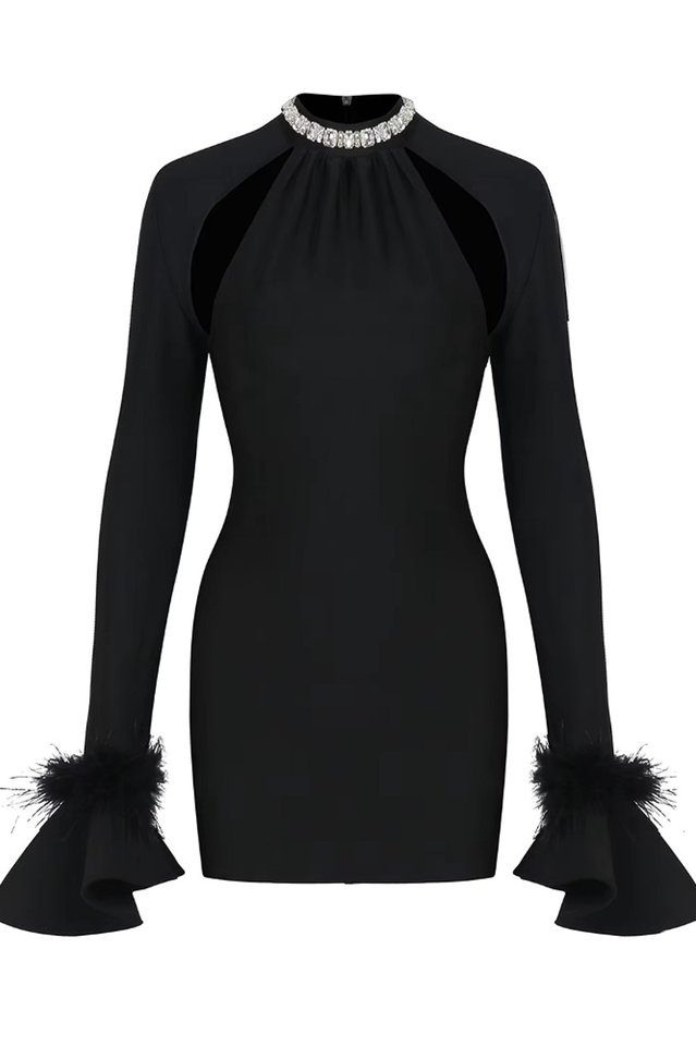 Feather Detail Long Sleeve Crystal Dress