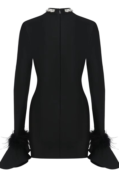 Feather Detail Long Sleeve Crystal Dress
