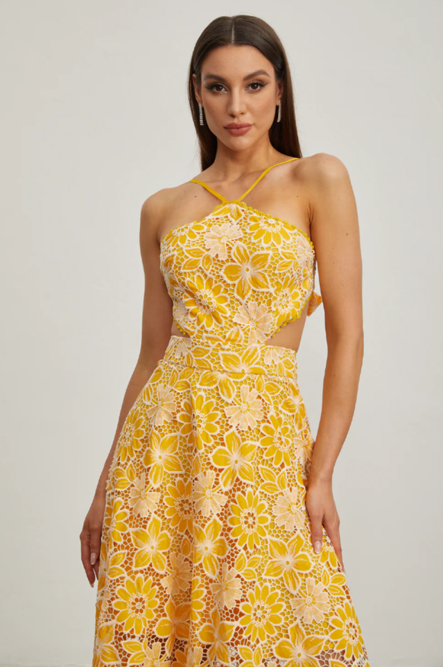 Michaelia Cut Out Halter Dress