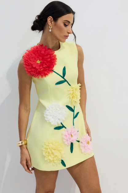 Sibyl Floral Applique Sleeveless Mini Dress