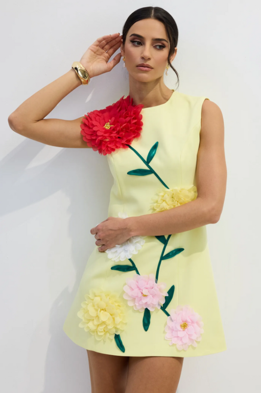 Sibyl Floral Applique Sleeveless Mini Dress