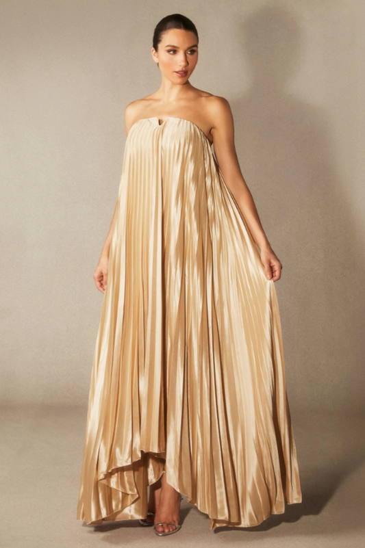 Louisa Strapless Pleated Maxi Dress