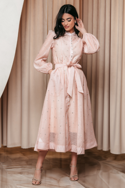 Emelia Crystal Embellished Sheer Maxi Dress