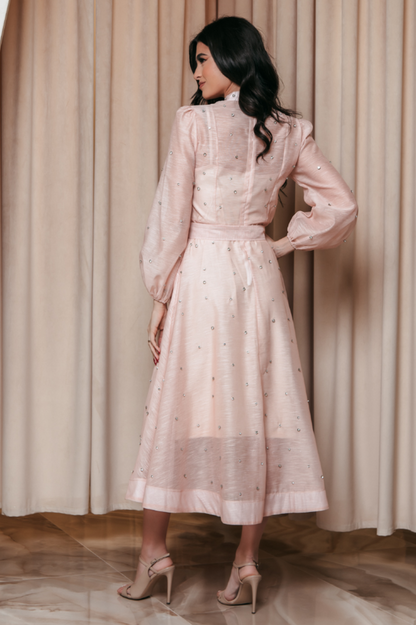 Emelia Crystal Embellished Sheer Maxi Dress