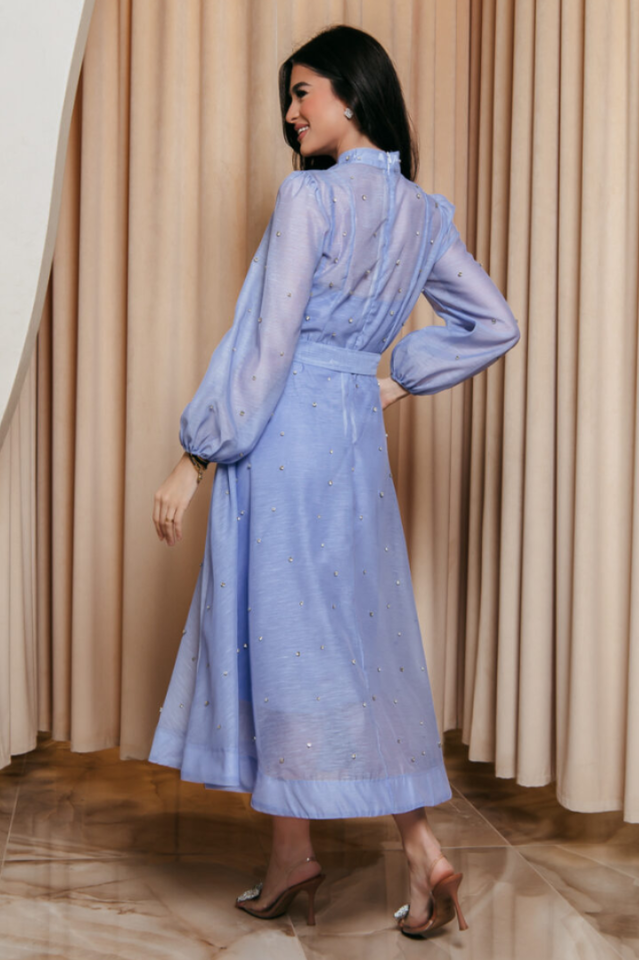 Emelia Crystal Embellished Sheer Maxi Dress