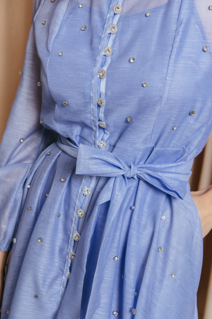 Emelia Crystal Embellished Sheer Maxi Dress