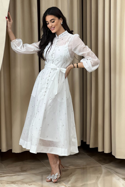 Emelia Crystal Embellished Sheer Maxi Dress