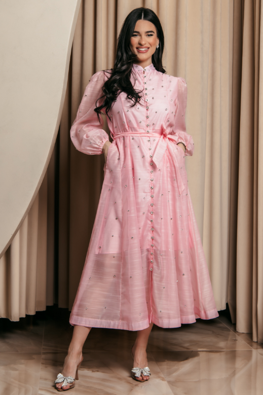 Emelia Crystal Embellished Sheer Maxi Dress