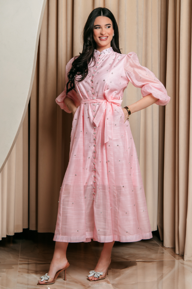 Emelia Crystal Embellished Sheer Maxi Dress