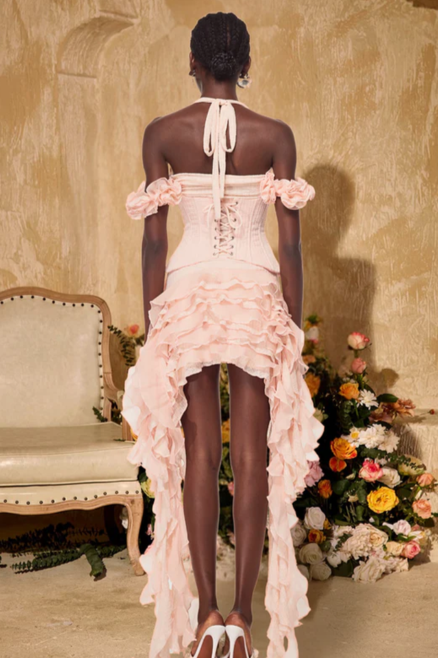 Ivria Halterneck Ruffled Draped Dress