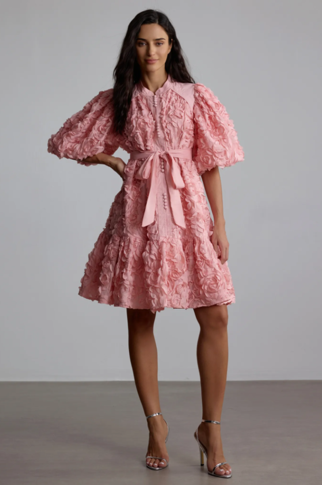 Emeline 3D Floral Mini Dress