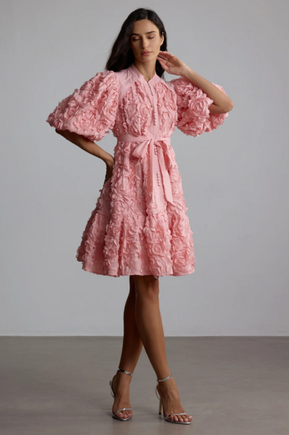Emeline 3D Floral Mini Dress