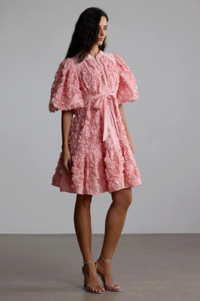 Emeline 3D Floral Mini Dress