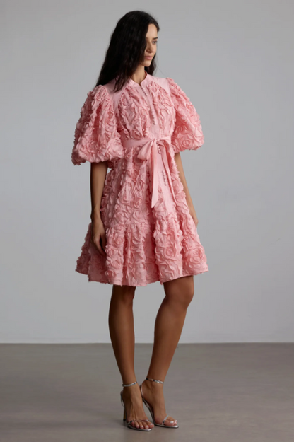 Emeline 3D Floral Mini Dress