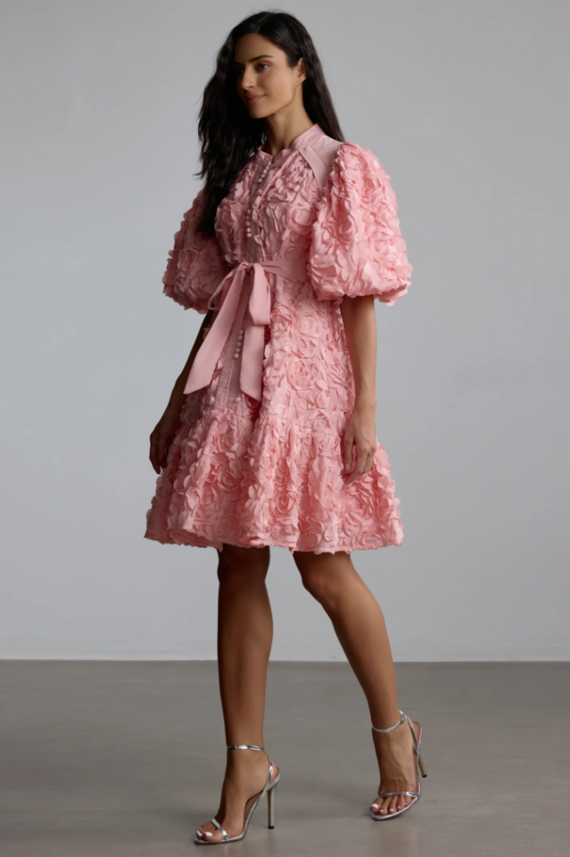 Emeline 3D Floral Mini Dress