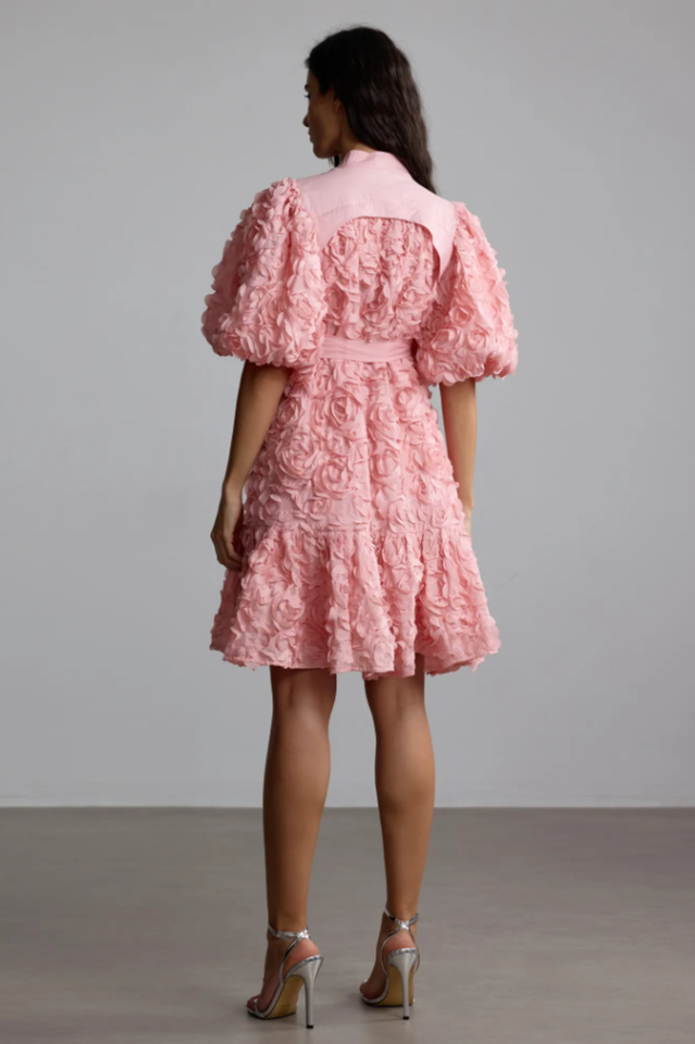 Emeline 3D Floral Mini Dress