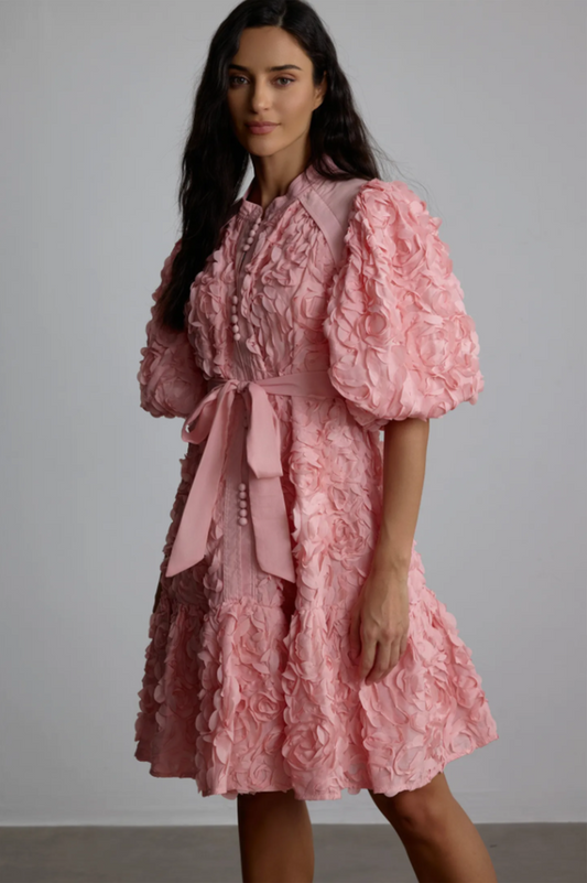 Emeline 3D Floral Mini Dress