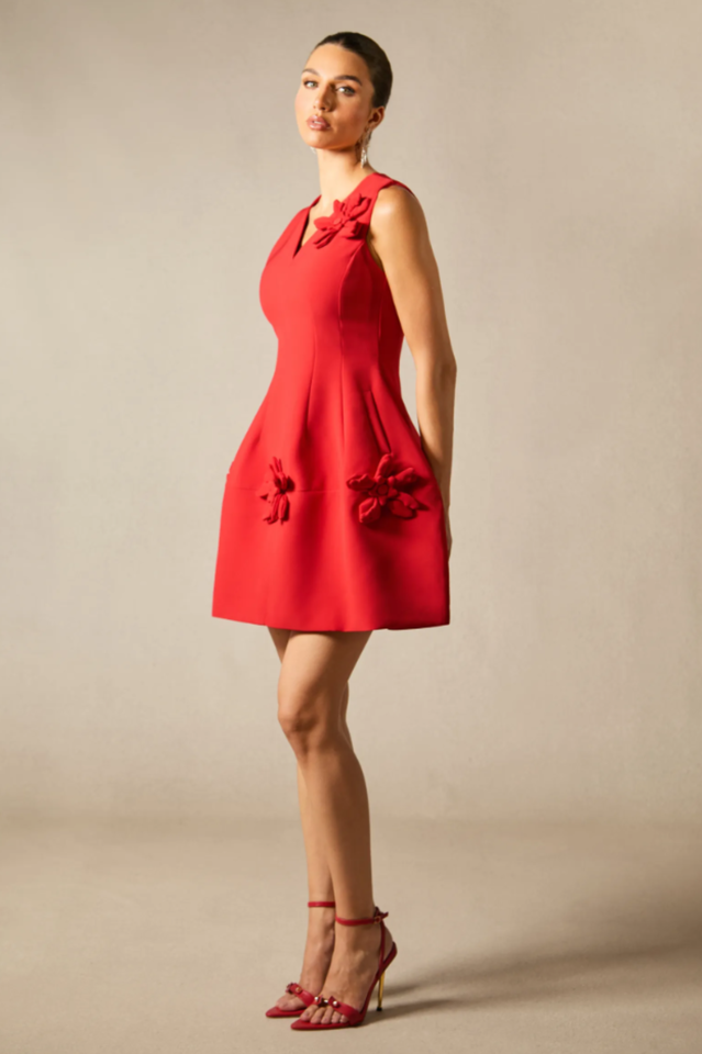 Bertina Floral Applique Mini Dress