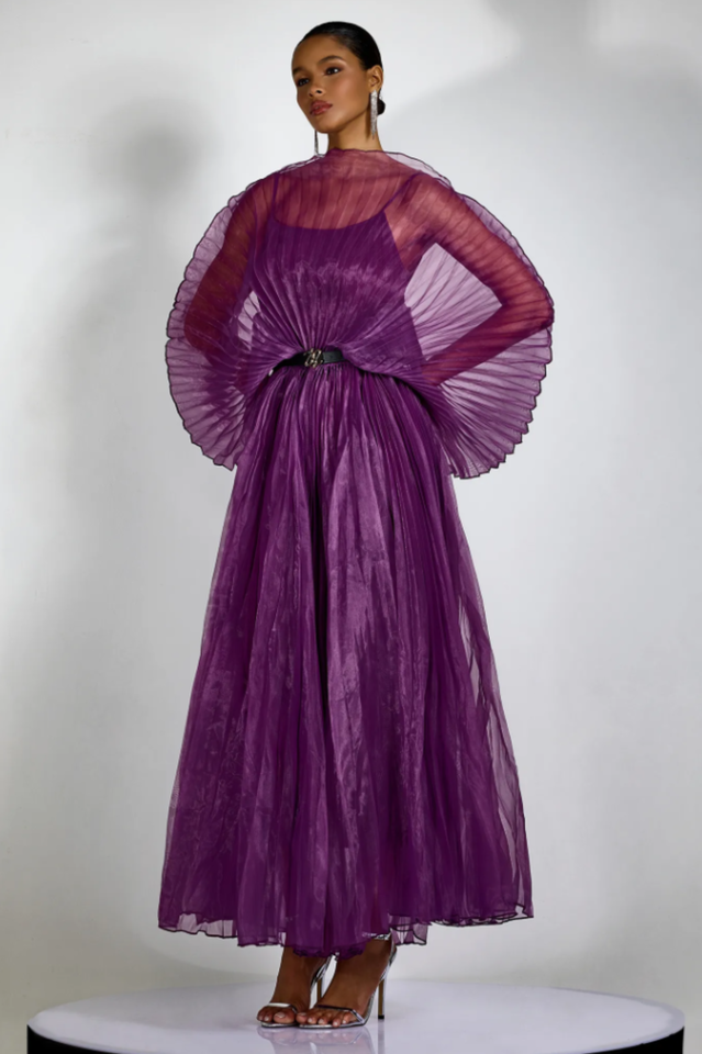 Amanda Semi-sheer Pleated Maxi Dress