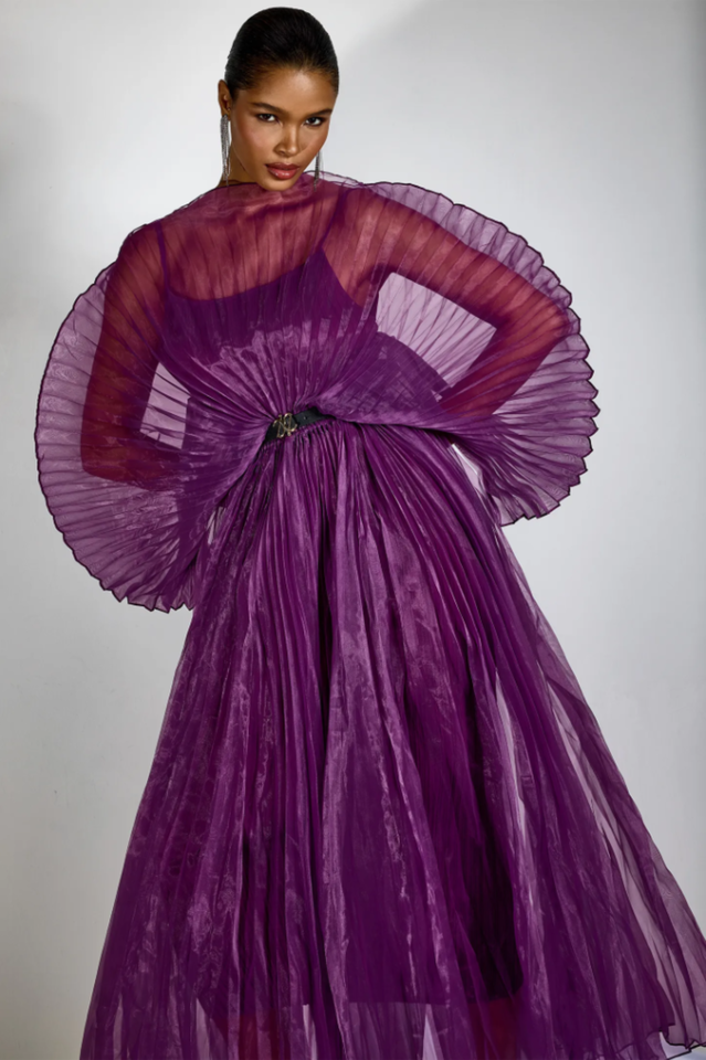 Amanda Semi-sheer Pleated Maxi Dress