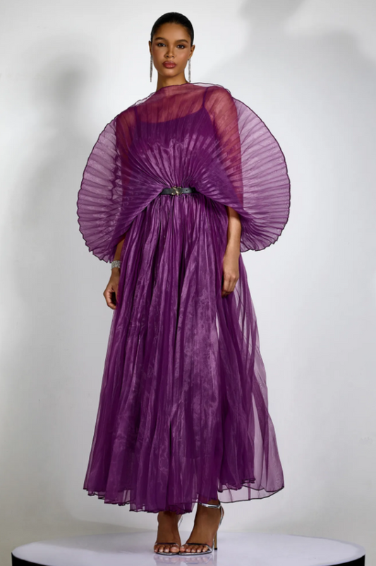 Amanda Semi-sheer Pleated Maxi Dress