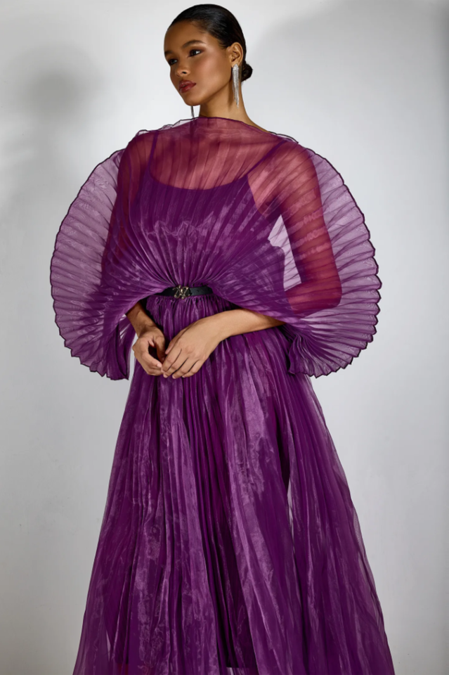 Amanda Semi-sheer Pleated Maxi Dress